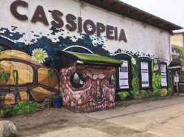 Cassiopeia Berlin